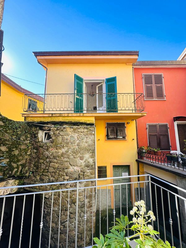 HOUSE IN THE VILLAGE OF CARNEA – RENOVATED FACADE AND HABITABLE SPACES