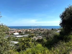 Terreno con rustico e bella vita mare a Taggia
