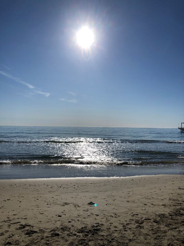 Alassio appartamento fronte mare