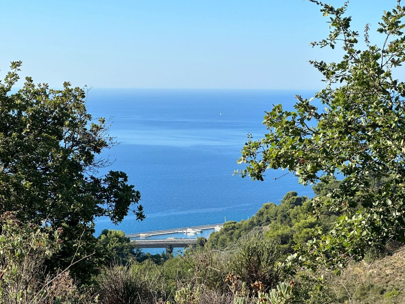 TERRENO DI 31.150 MQ CON VISTA MARE