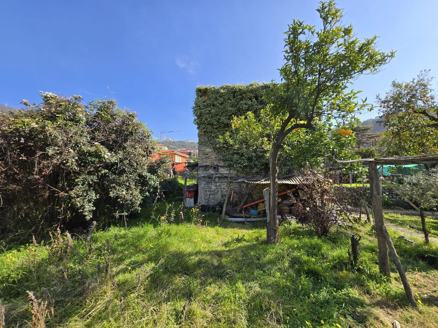 RUSTICO CON TERRENO IN SAN MARTINO DI TAGGIA