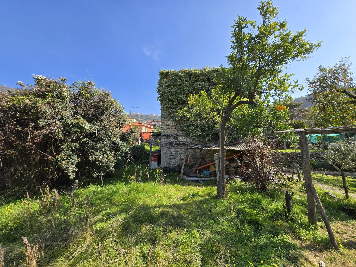 RUSTICO CON TERRENO IN SAN MARTINO DI TAGGIA