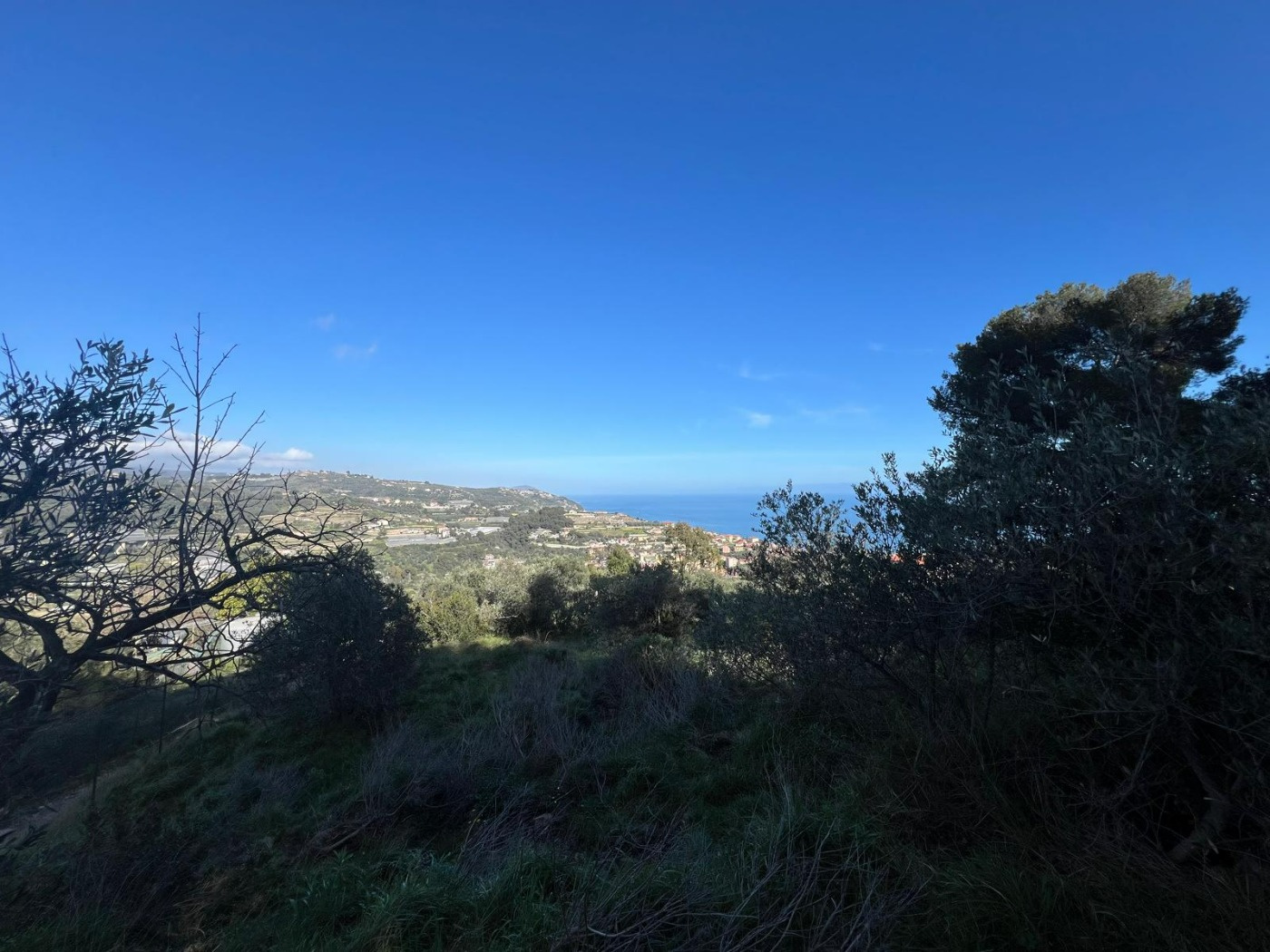 TERRENO EDIFICABILE ALL'USCITA DELL'AUTOSTRADA DI TAGGIA