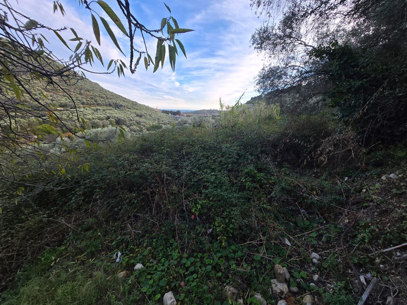 Land in Castellaro with access for small vehicles