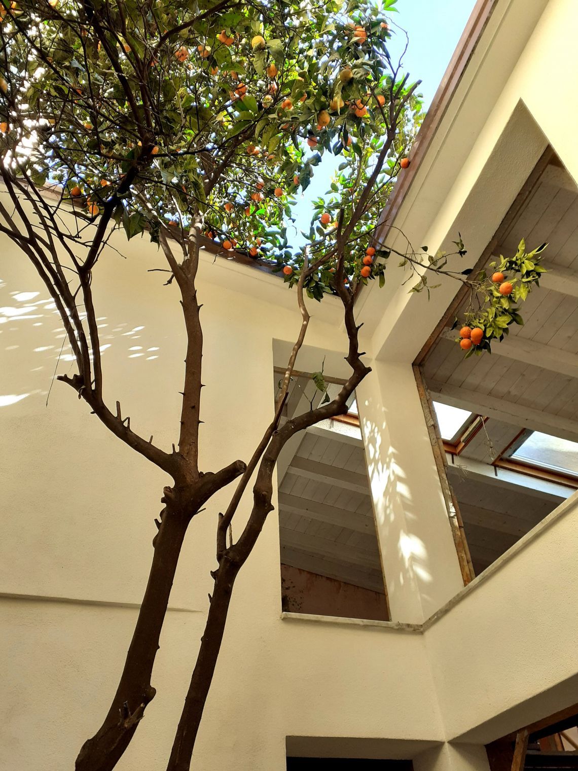 Terratetto in Vendita Sarzana