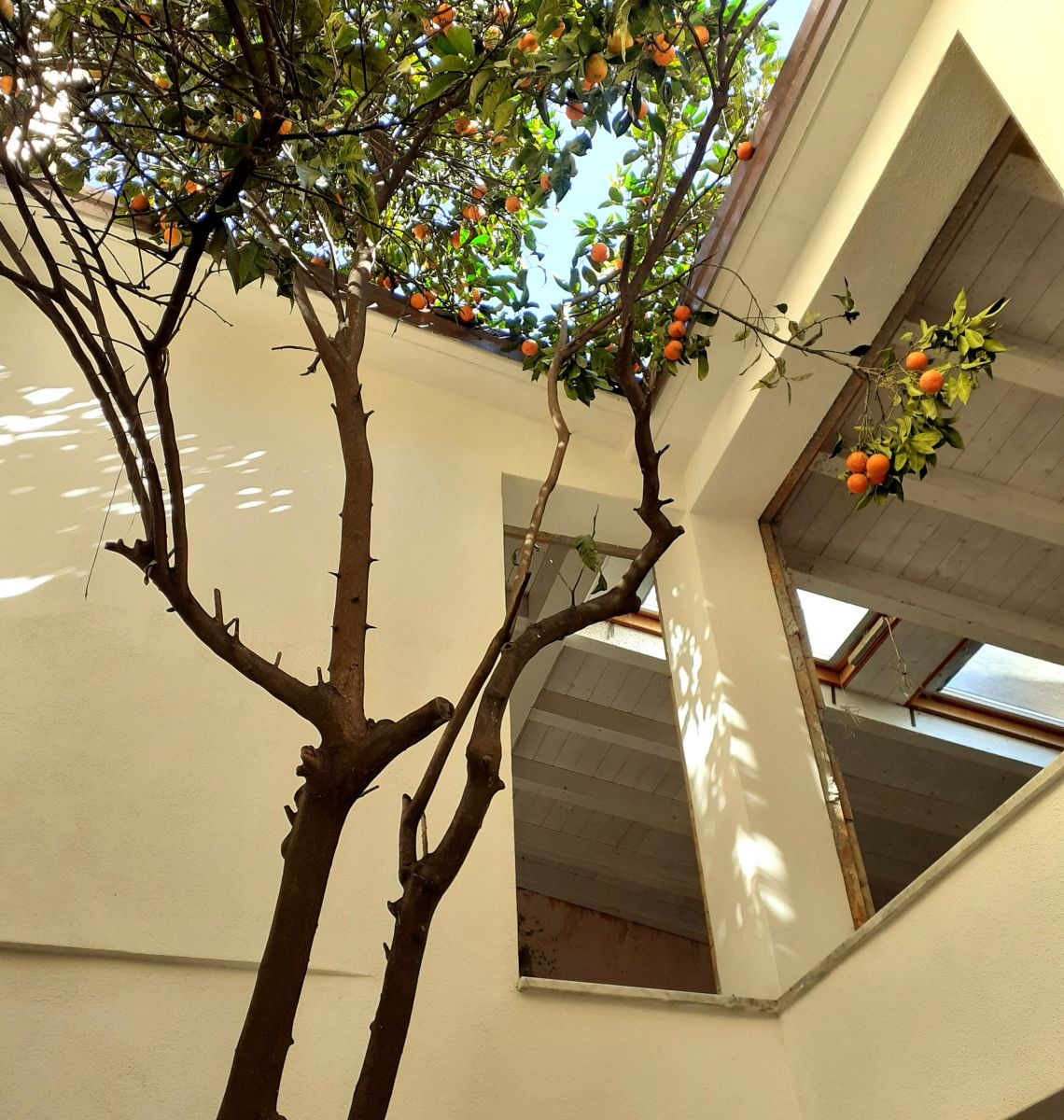 Terratetto in Vendita Sarzana