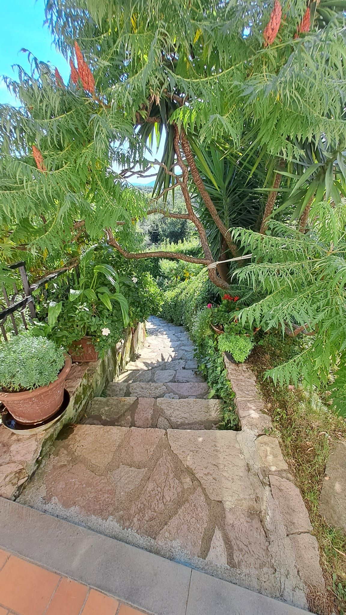 Montepertico - Porzione di Bifamiliare