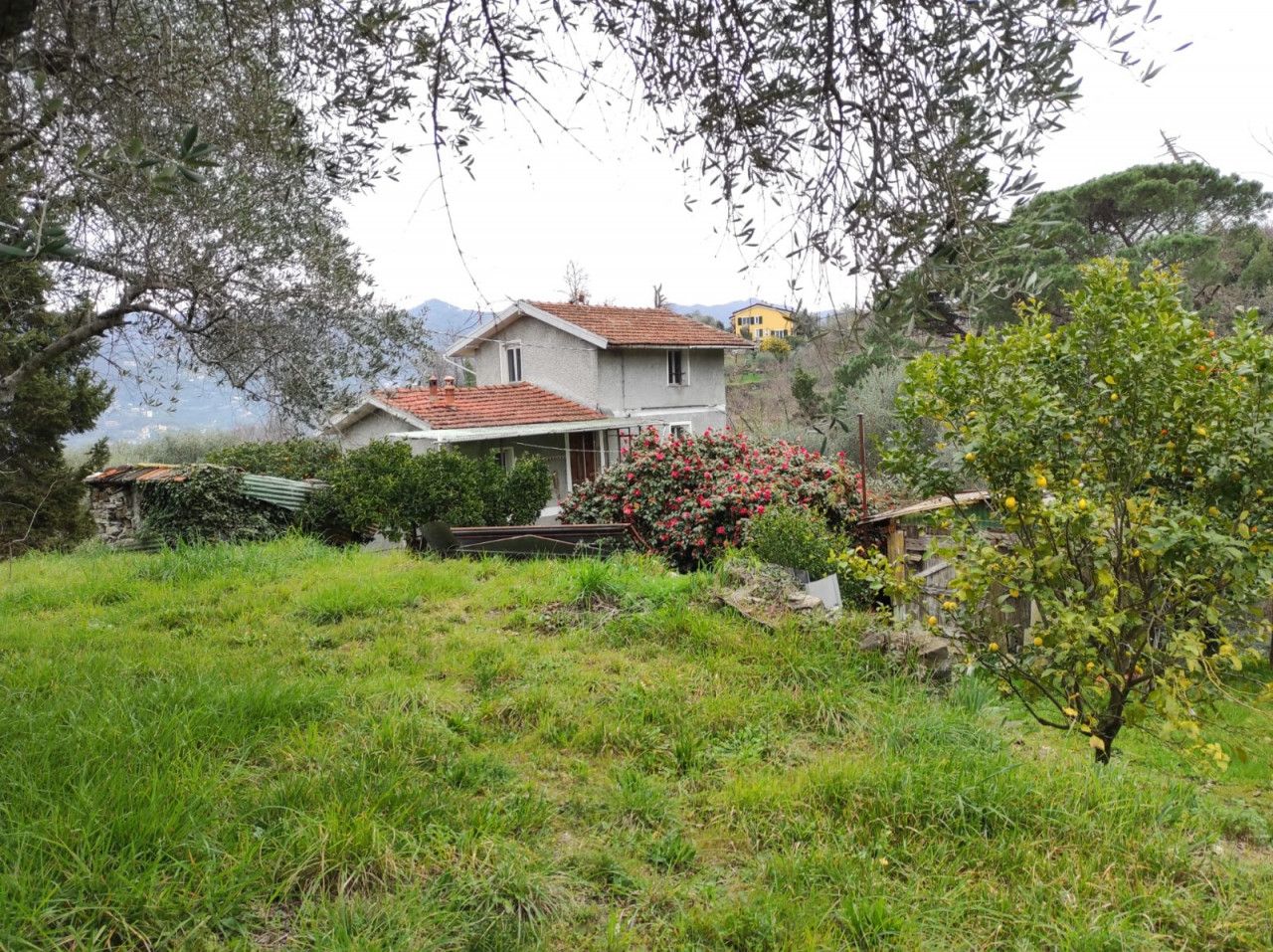 Bifamiliare in vendita Bedonia (PR)