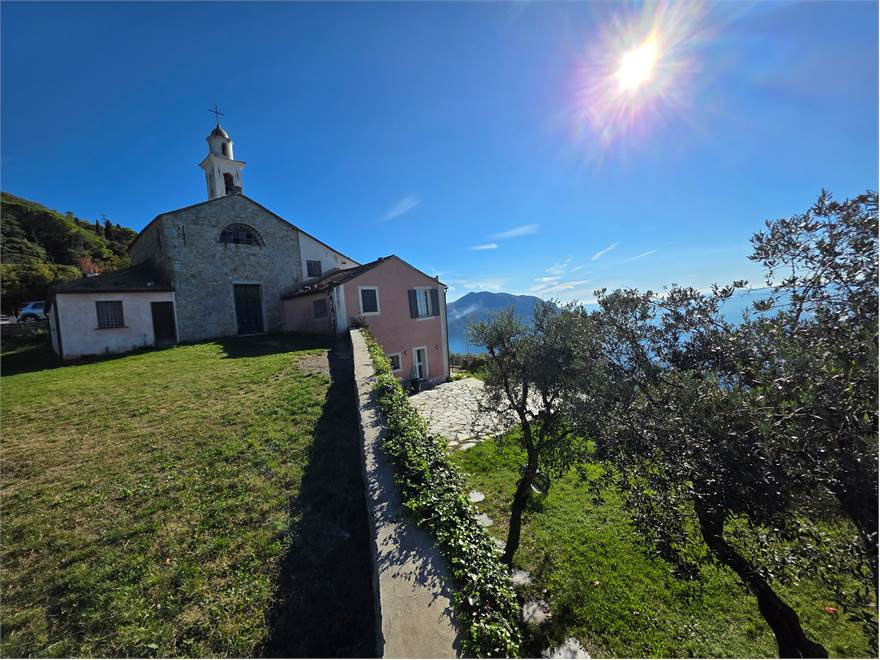 Olive Grove with Sea View in Sant'Apollinare