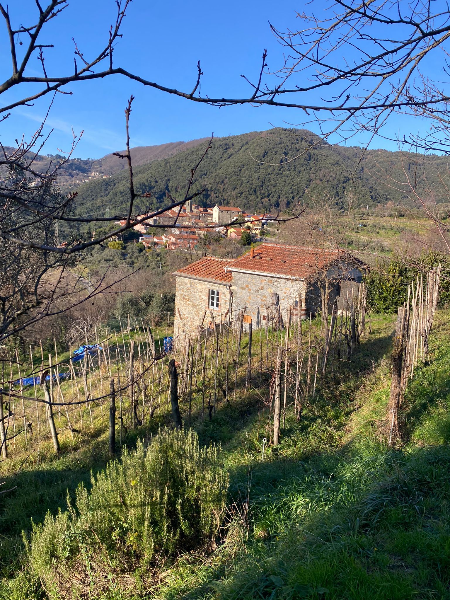 GIUCANO – Fuori dal borgo, immerso nella natura con vista aperta sulla vallata
