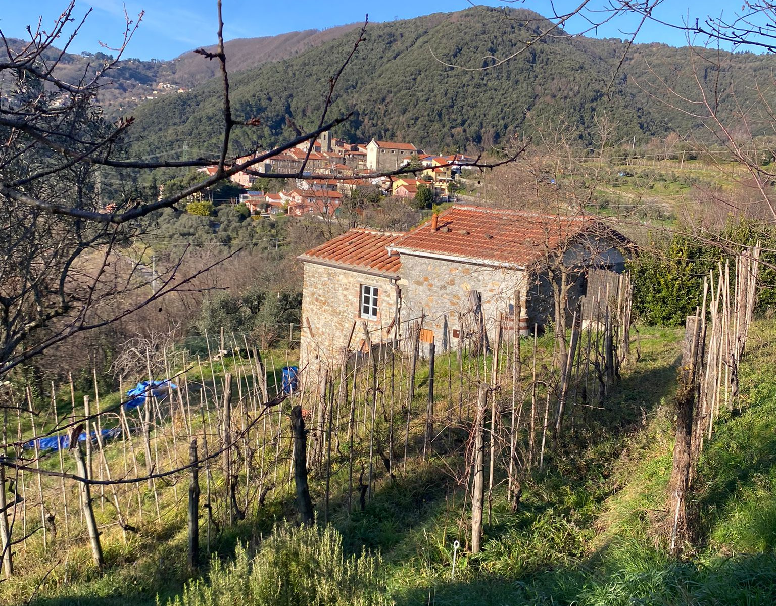 GIUCANO – Fuori dal borgo, immerso nella natura con vista aperta sulla vallata