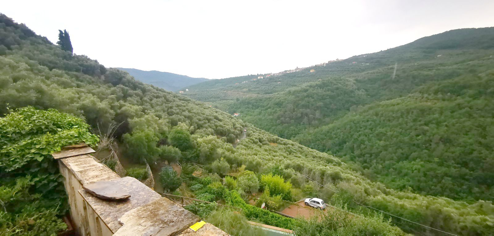 Imperia Villa Guardia grande appartamento con terrazzo cod. 8493