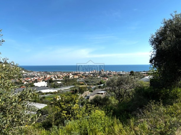 Terreno con rustico e bella vita mare a Taggia