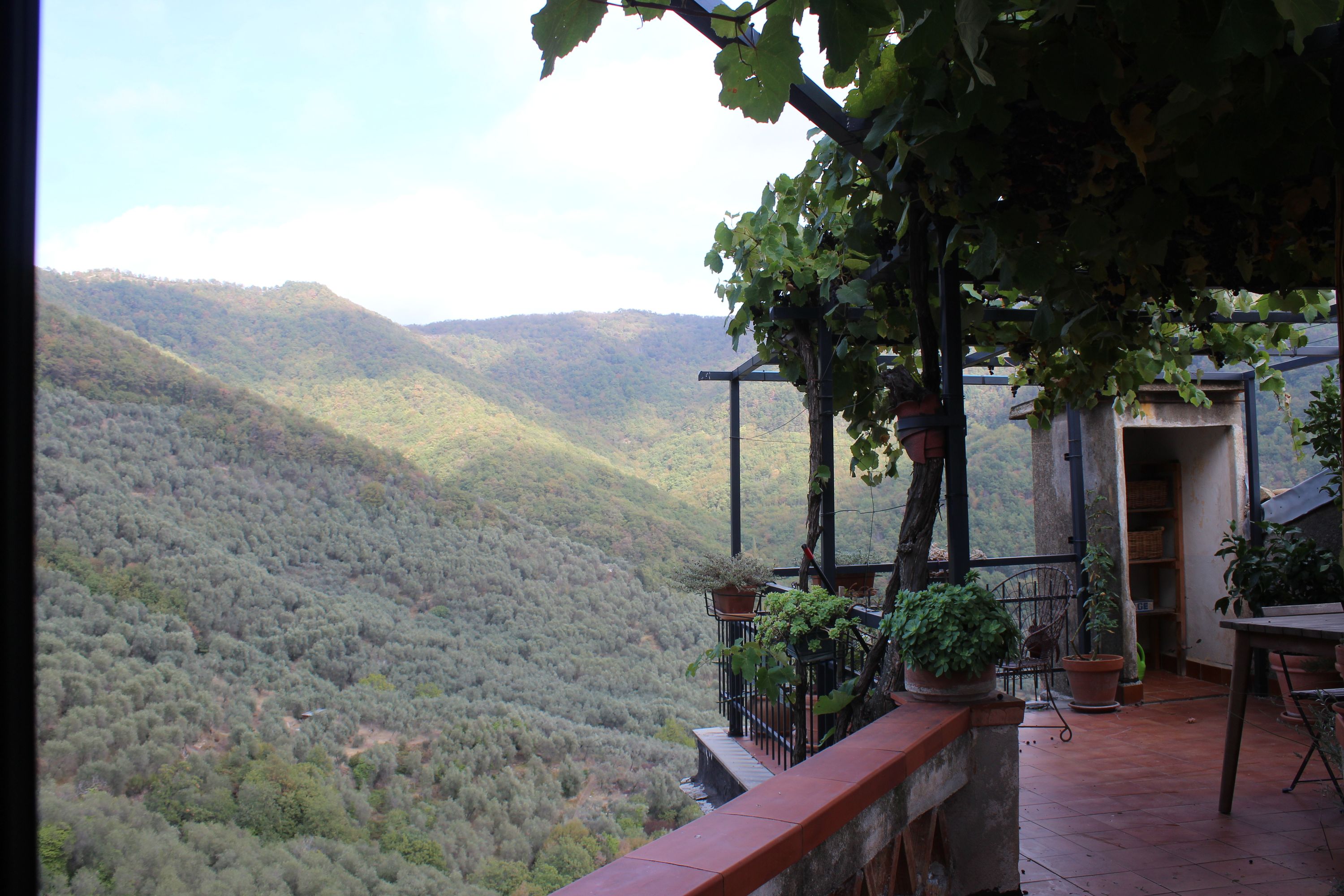 Casa Monteverdi – A charming village home surrounded by olive groves.